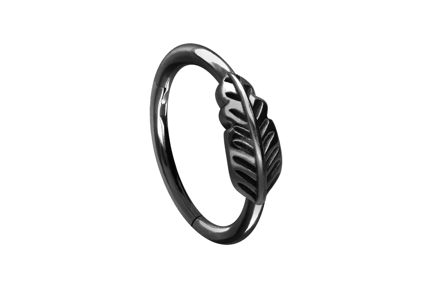 Chirurgenstahl Segmentring Clicker Piercing FEDER